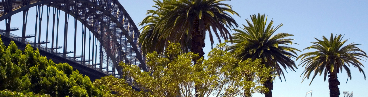 永久有效的DDOS攻击平台